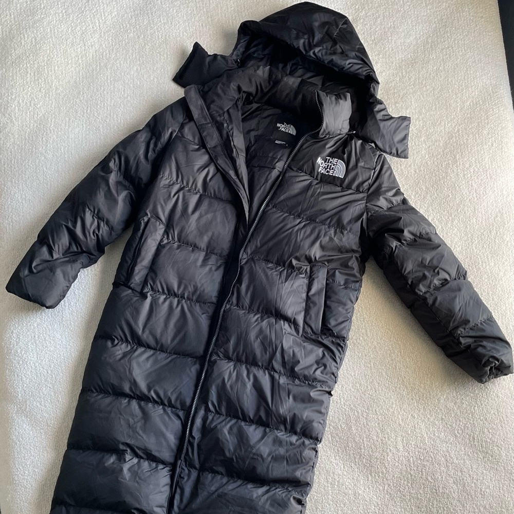North Face 550 down Puffer Jacket